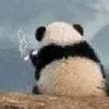 Nicole_Hutter - @Nicole_Hutter - TikTok
