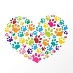 Nicole Hynes - @house_of_cavoodles - Instagram