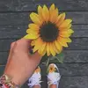 Nicole Ice - @nicole.ice97 - TikTok