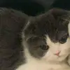 Nicole Inacio - @nick...inacio - TikTok