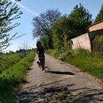 Nicole S Inge - @nicole160375 - Instagram