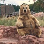 Nicole Iverson Mausbach - @iversonmausbach - Instagram