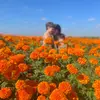 Nicole - @nicole_ivory_ - TikTok