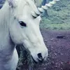 nicoleivoryy - @nicoleivoryyy - TikTok