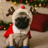 Nicole Juarez - @nicole.juarez937 - TikTok