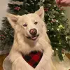 Jaycee Nicole Knipp - @jayceenicoleknipp - TikTok