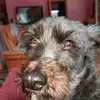 Nicole Kohn - @nicolekohn73 - TikTok