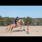 Nicola Kubisz - Facebook