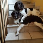 Nicole Kuster - Facebook