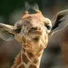 nicolelapoint957 - @nicolelapoint957 - TikTok