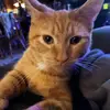 nicolelarimer768 - @nicolelarimer768 - TikTok