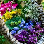 Hobby Fotografie-Nicole Lear - @fokusgomeinebuntewelt - Instagram