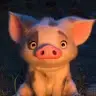 nicole leech - @nicoleleech7 - TikTok