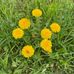 Nicole Leitner - Facebook