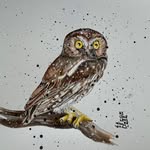 Nicole Lemire - @midday_magiq_musings - Instagram