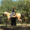 Nicole fletcher - @nicole.fletcher7612 - TikTok