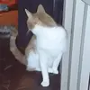 Nicole linder - @nicole.linder5 - TikTok