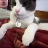 nicole - @nicole.lioo - TikTok