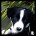 Nicole Lowden - Facebook