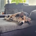 Nicole Maas - Facebook