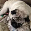 Nicole Magee745 - @nicolemagee745 - TikTok