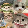 Nicole Magee - @nicole.magee6 - TikTok