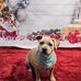 Nicole Maillet - Facebook