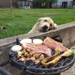 Nicole Malcom - Facebook