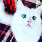 nicole malone - @nicolemalone682 - Instagram