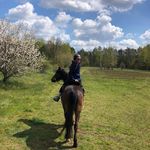 Nicole Marker - @marker9264 - Instagram