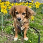 Nicole Markham - @nicmarkham - Instagram