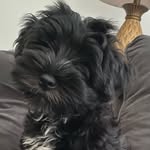 Nicole Markham McLain - @cnm_mclain - Instagram