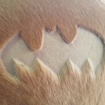 nicole mast - @pferde_schermuster - Instagram