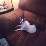 Nicole mccool - @mccool1618 - Instagram
