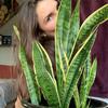 Nicole McMaster - @fromdirtwegrow - TikTok