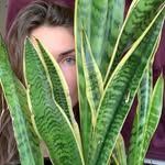 Nicole McMaster - @fromdirtwegrow - Instagram