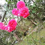 Freya Nicole Millard - @freya_is_special - Instagram