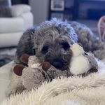 Nicole Moline - @doodlemomne - Instagram