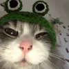 nicole - @nicolenace5 - TikTok