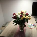 Nicole Neubert - @neubertnicole1 - Instagram
