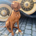Nicole Neubert - @nicole.neubert.988 - Instagram