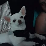 Nicole Neubert - @miststuck.nicole_ - Instagram