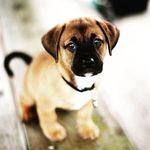Nicole Oldenburg - @skater_or_die10123 - Instagram