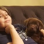 Nicole O'Neill - @nicole.oneill.9085 - Instagram