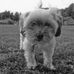 Nicole Ono - Facebook
