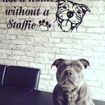 nicole - @nicole_ann_opperman - Instagram
