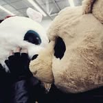 Nicole Oria - @bear.nd.bunny - Instagram
