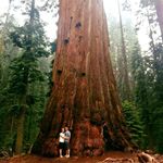 Nicole-Jared Creer Van Orman - @nicolevanorman - Instagram