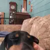 nicoletteorman - @nicoletteorman - TikTok