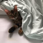 Nicole Ortmann - @ortmann5057 - Instagram